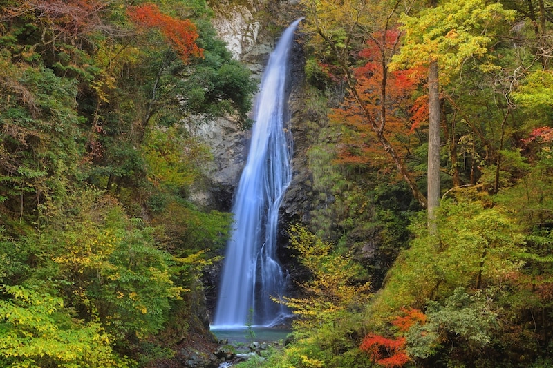 【難読地名】地元民しか読めないと思う「兵庫県の市町名」ランキング！　第2位は「朝来市」、1位は？