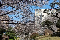 「真面目だけどいい学校」　九州で“学生に人気の大学”に集まった声！「地域や園からの信頼が大きい」「天神や博多が近いので放課後なども充実」