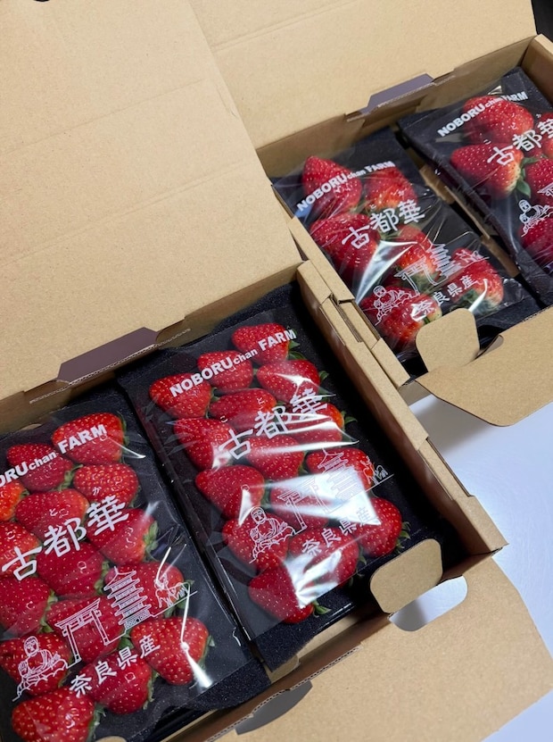 ふるさと納税で届いた大量のいちご→ギャル主婦の手にかかると「こうなりました」　圧巻の光景に「パーティ会場はこちらですか？」