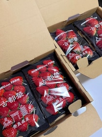 ふるさと納税で届いた大量のいちご→ギャル主婦の手にかかると「こうなりました」　圧巻の光景に「パーティ会場はこちらですか？」