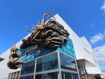 「メンダコ可愛かったな……」　“行ってみたい日本の水族館”ランキング上位に高評価の声！「思ったよりも賑わっていた」「小さいながらも見応えあり」