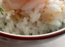 【画像】記事を読む