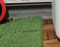 【画像】記事を読む