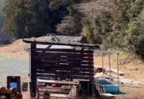 キャンプ場の管理人、ふと遠くの山を見ると……　“絶望的な光景”に「もうだめだ…」「終わりの始まり」と100万表示