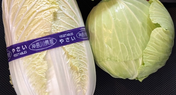 無人販売で白菜とキャベツを購入→奥からおばあちゃんがやって来て……　まさかの光景に「ナント！」「最高かよ」