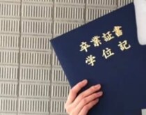 【画像】全身を見る