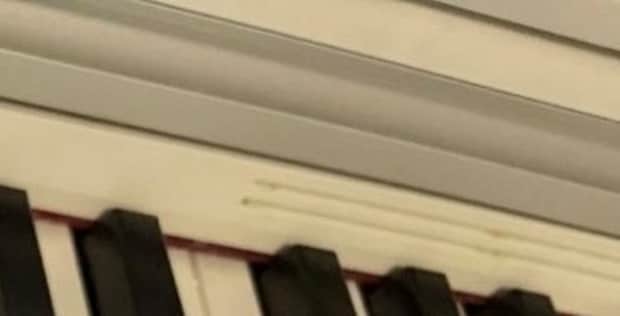 自宅のピアノをよく見たら→「ぎゃー!!!!」ママ絶叫の“背筋が凍る光景”に「絶望」「やめてよ……」