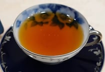 「これさえあれば間違いない！」  ティーアドバイザーによる初心者への茶器選びアドバイスに「参考になりました」「買います！！」