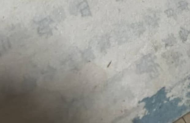 興味本位で買った「100年前の教科書」に“まさかの落書き”　「いつの時代も子どもは子ども」と310万表示