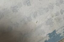 興味本位で買った「100年前の教科書」に“まさかの落書き”　「いつの時代も子どもは子ども」と310万表示