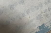 【画像】100年前の落書き