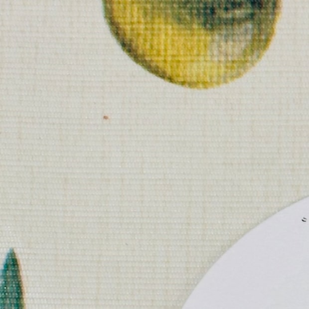 喫茶店でお客さんが帰ったあと、食器を下げに行くと…… 店主が驚いた“まさかの光景”に「かっけえええ」「プロの仕業」