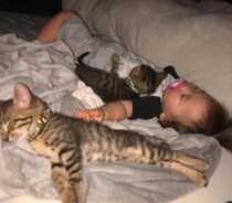 赤ちゃんと子猫が寄り添いねんね→4年後……　尊すぎる光景が75万表示「幸せすぎて涙が」「癒しの極み」