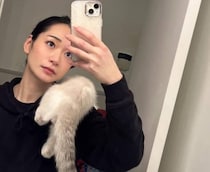 ストレスでみるみる痩せた時期→一目ぼれした猫を迎えたら……　「大島優子さん!?」「飼い主もネッコも美人でビビり散らかしている」