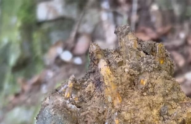 誰も近付かない山奥で拾った“でっかい塊”→水で洗うと……　「こんなの見つけたら興奮するわ」「感嘆！！！」