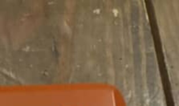 誕生日を迎えたママ→70歳義母から貰った缶を開けると……「いつもセンス良い」完璧すぎる中身が22万表示