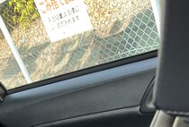「でかい」車に乗っていたら突然頭に強い衝撃が……「ど、動物?!」“とんでもない出来事”に「これはビビる」「すさまじい体験ww」
