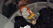 おむつが洗濯機に→恐る恐る取り出すと……「えー！」「こんなことあるんですか！」　“まさかの光景”に思わず仰天