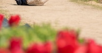 【画像】まさかの姿