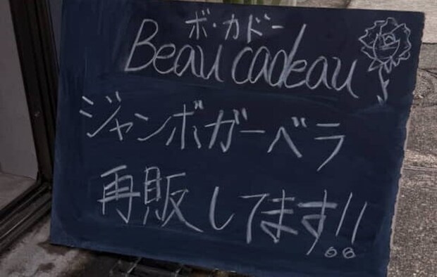 花屋「ジャンボガーベラ再販です」→「なにこれ!!」信じられないビジュアルに驚きの声「これは生花ですか!?」