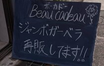 花屋「ジャンボガーベラ再販です」→「なにこれ！！」信じられないビジュアルに驚きの声「これは生花ですか！？」