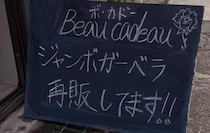 【画像】記事を読む