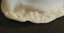 ごくごく普通の石ころ→よく見ると……「これ...石！？」　食いしんぼう大興奮“まさかの姿”に「これは価値ある」「化石に違いない」