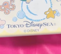 部屋の掃除中に見つけた“25年前のディズニーグッズ”　まさかのレアキャラに「懐かしすぎて泣ける」「記憶が蘇りました」