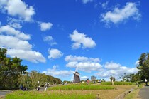 【関西版】「公園が充実している街（自治体）」ランキング！　2位は「兵庫県三田市」、1位は？
