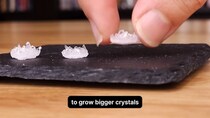 化学肥料から作った小さな結晶が……　時間をかけて大きくきれいに“成長”させる実験に「素晴らしい」「リラックスできます」【海外】