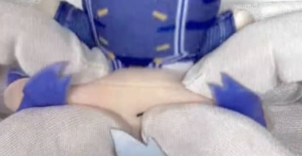 「これ直せるのか！」　届いたばかりのぬいぐるみ→目からウロコの“裏技”で驚きの姿に「すごい魔法みたい」「小顔矯正や」