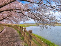 地元民しか読めないと思う「群馬県の市町村名」ランキングTOP30！　第1位は「榛東村」と「邑楽町」【2026年最新調査結果】