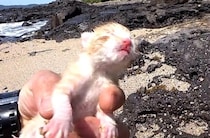 【動画】成長ビフォーアフター