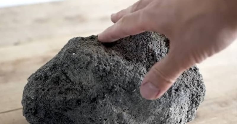 通販で買った「石」→毎日水をかけ続けて、1000日後……「すげー！」　“驚きの変化”に「まさに“継続は力なり”」「これだからネットはやめられない」