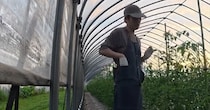 松山ケンイチ、自分で育てた野菜に「これはスゴいですよ」　広がる“衝撃の光景”にファン仰天「もう趣味の域ではない」「家庭菜園ではなく農家」