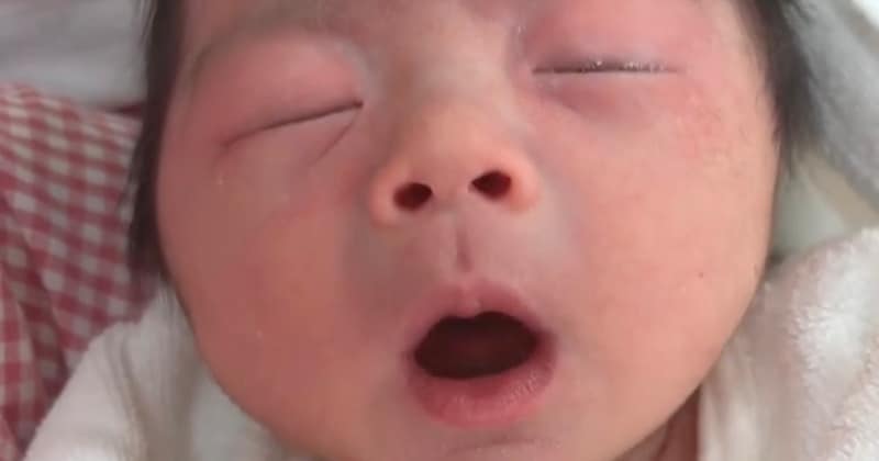 わずか生後2時間の赤ちゃん→人生初のくしゃみをすると……「古田新太すぎるwww」　500万再生の“衝撃の光景”に「人生1周目すぎて笑笑笑」