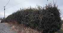 【画像】驚きの光景