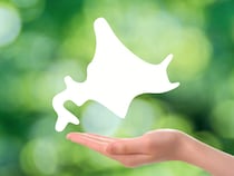 【画像：北海道の“730円バウム”】