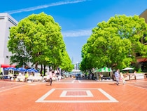 「23区暮らしはもう疲れた」そんな人に刺さる“京王線沿いの街”に高評価　「広々感・平和感は貴重で素晴らしい」の声