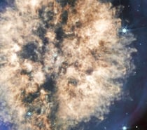 まるで“脳がむき出しの頭蓋骨”――　ウェッブ宇宙望遠鏡が捉えた謎多き星雲「PMR 1」【海外】