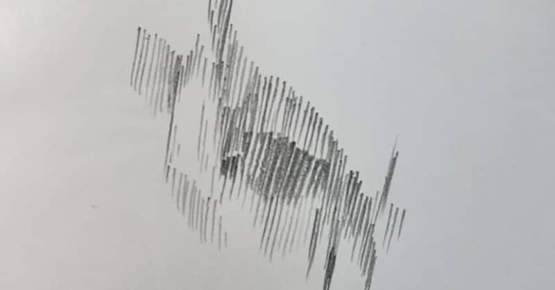 縦線だけで描かれた奇妙なイラスト→モデルを見たら……　“まさかの正体”が480万表示　「絵うますぎだろ」「すごい表現力」