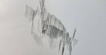 縦線だけで描かれた奇妙なイラスト→モデルを見たら……　“まさかの正体”が480万表示　「絵うますぎだろ」「すごい表現力」