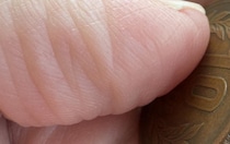 セルフレジで会計中、「異物」と表示されたお金→よく見ると……「えっ」まさかの光景に「まだ居てくれたのか」