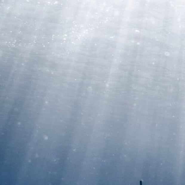 8年前、ハワイで出会ったばかりの夫と撮影した2ショットは……　驚きの1枚に「息止まりました」「ディズニーの表紙いける」