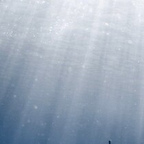 8年前、ハワイで出会ったばかりの夫と撮影した2ショットは……　驚きの1枚に「息止まりました」「ディズニーの表紙いける」