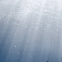 【画像】記事を読む