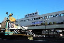 「栃木に行くと毎回買ってる」“栃木の銘菓”に絶賛の声　「地元民も好物です」「ほどよい甘さでこれは飽きない」「2、3個一気に食べられる」