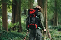 「また定期的に行きたい」2025年に登られた“甲信越の山”第1位に「初心者でも楽しめる。でもナメたらあかんお山です」「山頂は絶景」の声