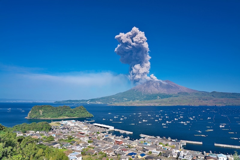 「美味すぎて昇天した」買ってきてほしい“鹿児島県のお土産”1位の銘菓に「甘いもの好きな人は絶対食べて欲しい」「まさにザ・鹿児島 なパッケージ」の声