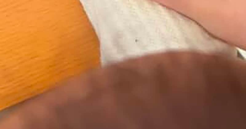 里帰りで曾祖母から赤ちゃんまで“4世代”が集合→記念撮影したら……　まさかの“アイデア写真”に「わーーー！」「これやりたい」